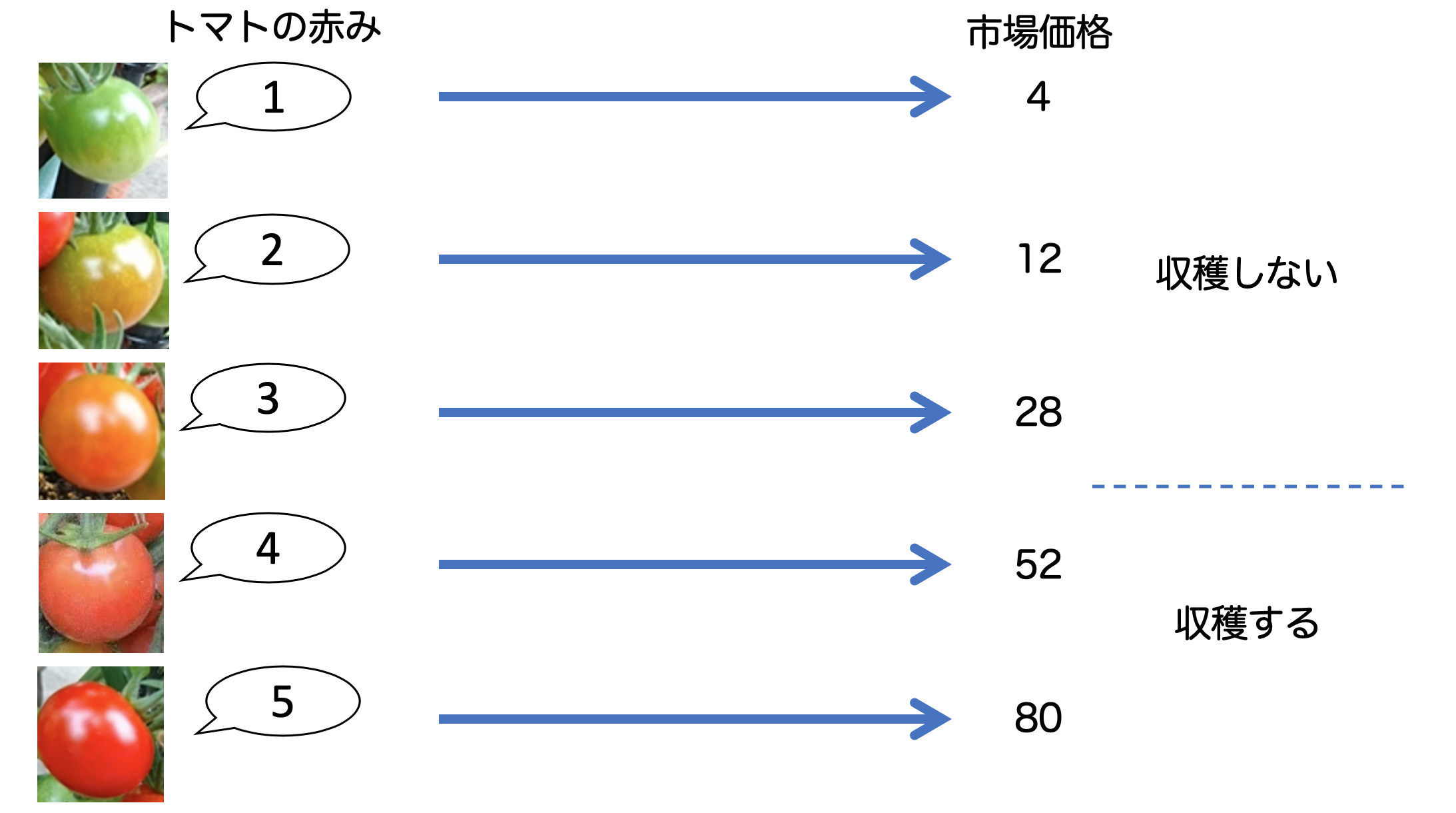 ../figure/fig1-5.png